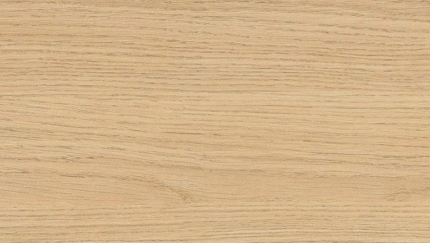 H3157_Tamm_Vincenza_cflncfp025v1bqinj