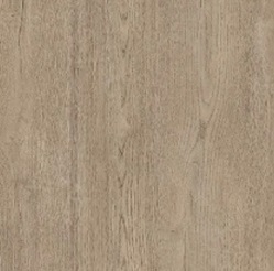 Hallikasbee_tamm_auchwp5439qzb9aog