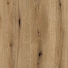 Ranniku_tamm_gog2pjo3kipnxdh6xnoki