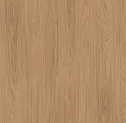 Tamm_Casella_N_bafylh5xwqrqfsdpl