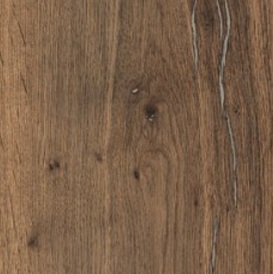 Tamm_H_Tina_j8wynxm5odz6