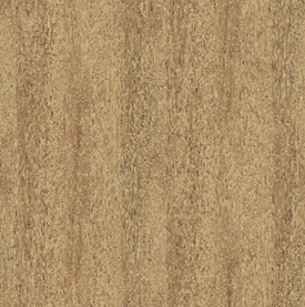 Tamm_Hikora_9j7lu12lpvt90